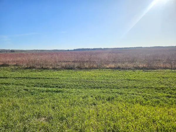 TBD Tbd, Newfolden, MN 56738