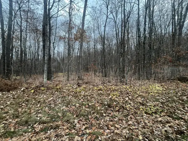 TBD Ham Lake Road, Stone Lake, WI 54876