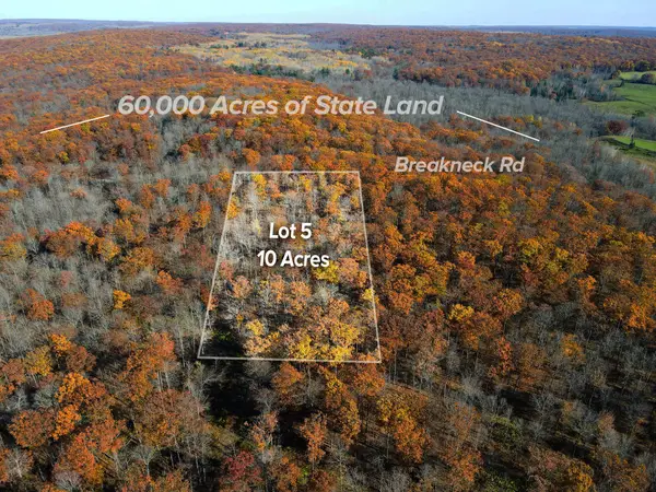 Lot 5 Breakneck Road, Birchwood, WI 54817