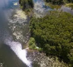 22510 Spider Island, Nevis, MN 56467 - Image #3