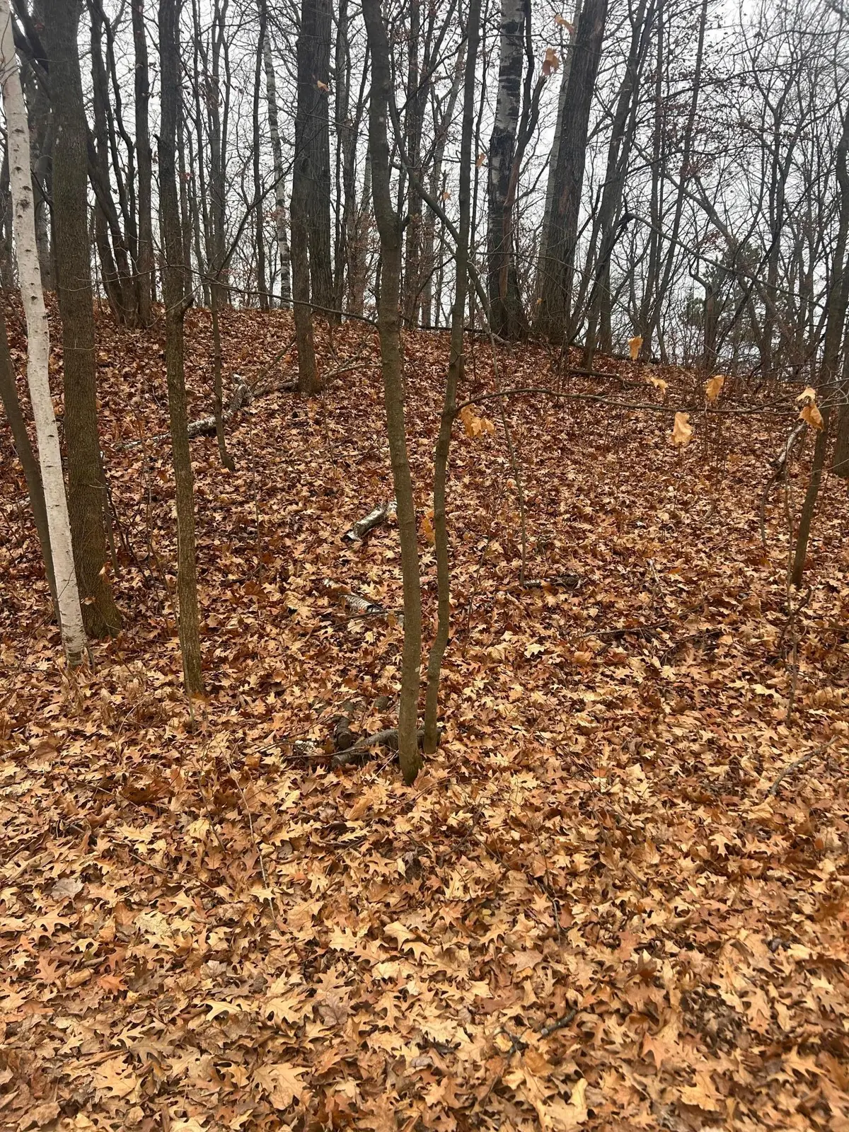 TBD Golf Course Cir, Cushing, MN 56443 - Image #1