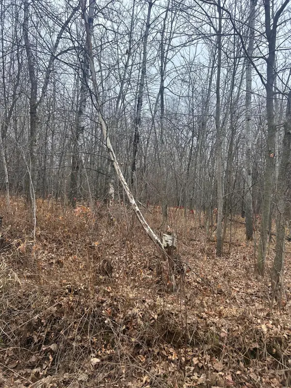 TBDx Golf Course Dr, Cushing, MN 56443