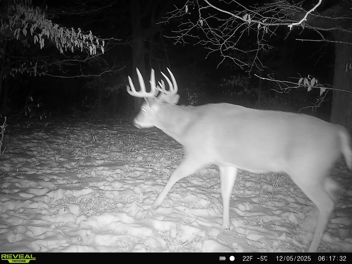 TBD 294th Street, Sebeka, MN 56477 - Image #1