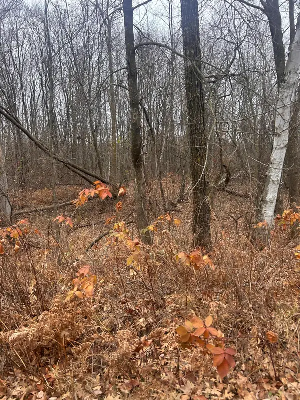 TBDxxx Golf Course Dr, Cushing, MN 56443