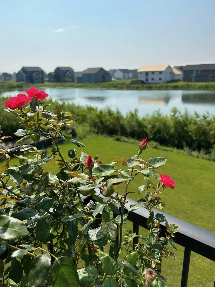 5336 W 177th Street, Lakeville, MN 55044 - #3