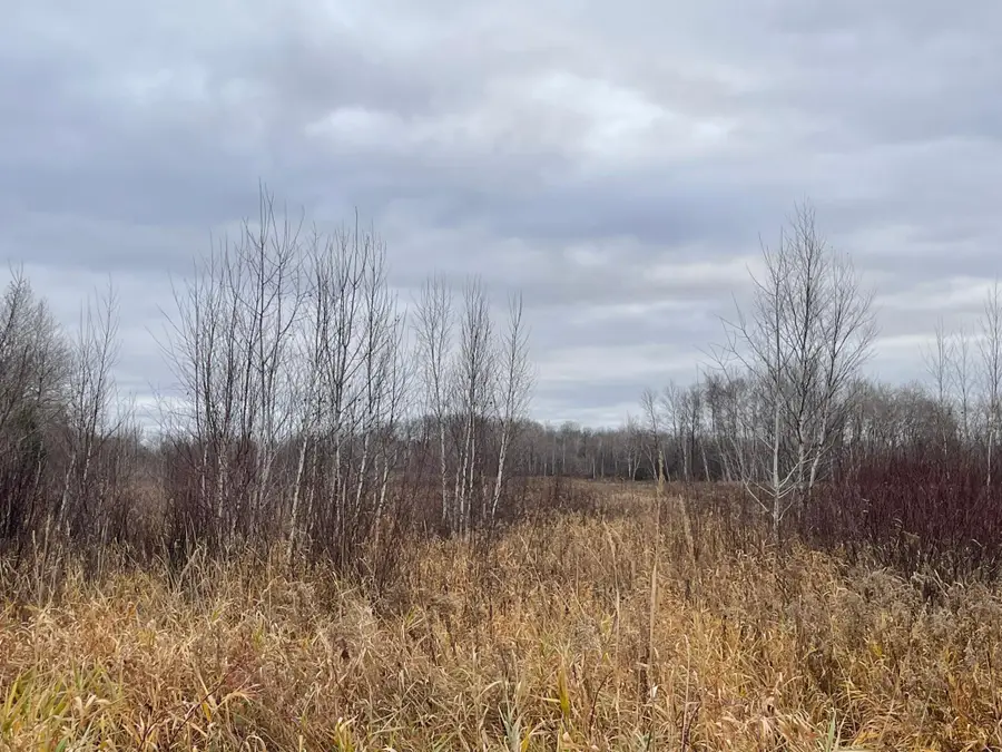 TBD Olson Road, Hinckley, MN 55037 - #2