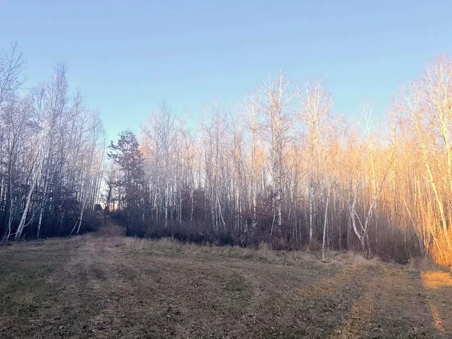 1287 Trinity Pines Lane Nw, Backus, MN 56435 - Image #3