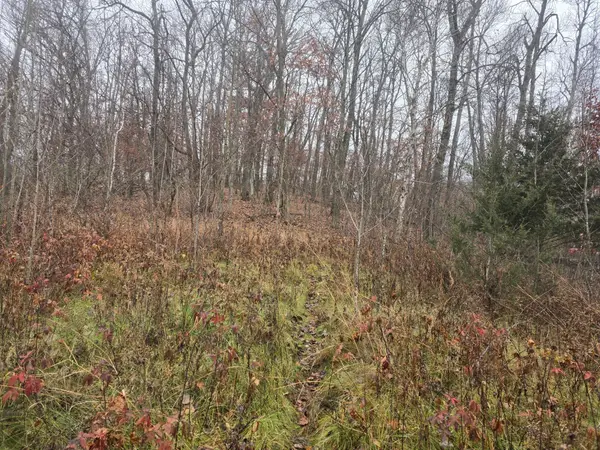 xxxx 244th St N, Scandia, MN 55073