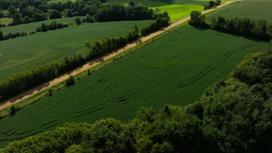 Lot 4 280th Street, Glenwood City, WI 54013 - #3