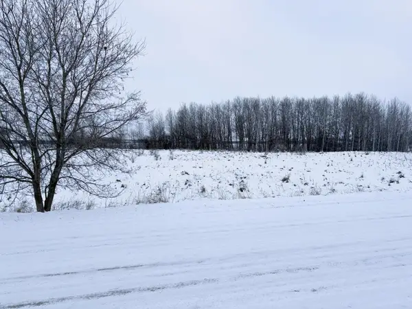 Lot 1 Old Fergus Road Sw, Pelican Rapids, MN 56572