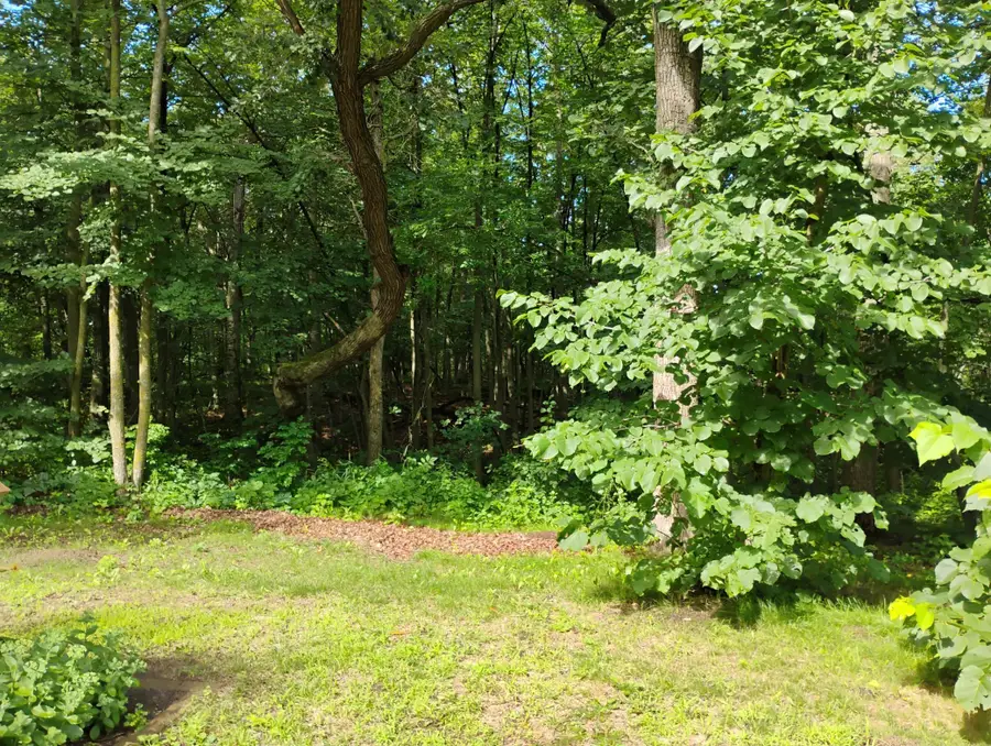 44888 County Highway 54, Ottertail, MN 56571 - Image #3