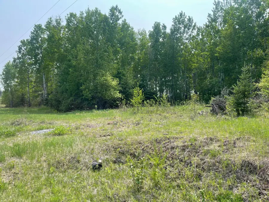 8017 N Savanna Road, Floodwood, MN 55736 - #2