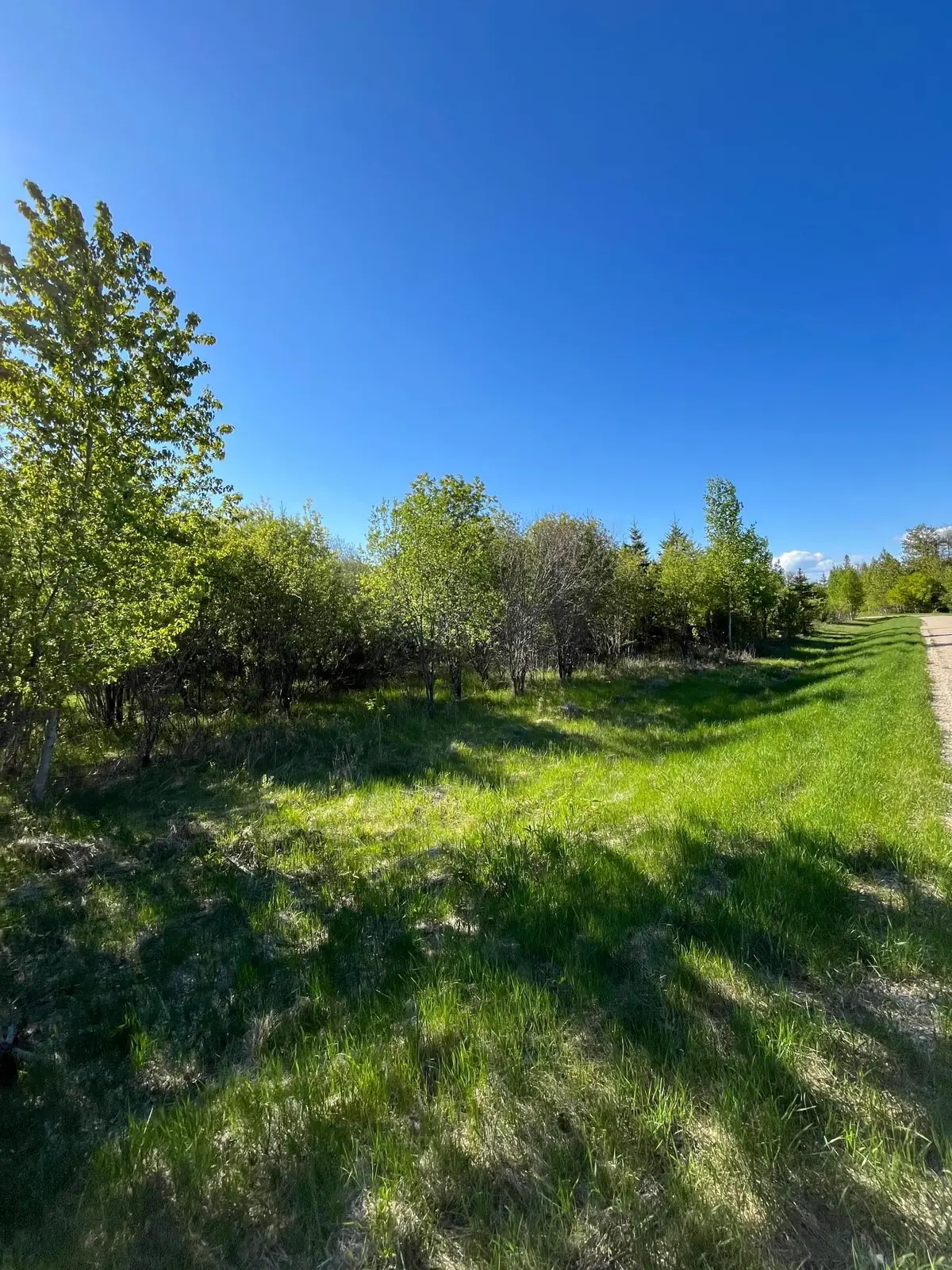 Lot 4 - TBD 330th Street, Warroad, MN 56763 - #1