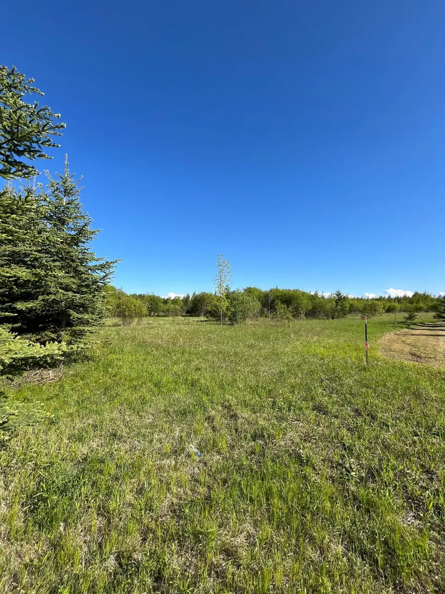 Lot 4 - TBD 330th Street, Warroad, MN 56763 - #3