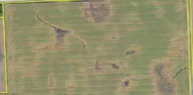 14409 560th Avenue, Donnelly, MN 56235