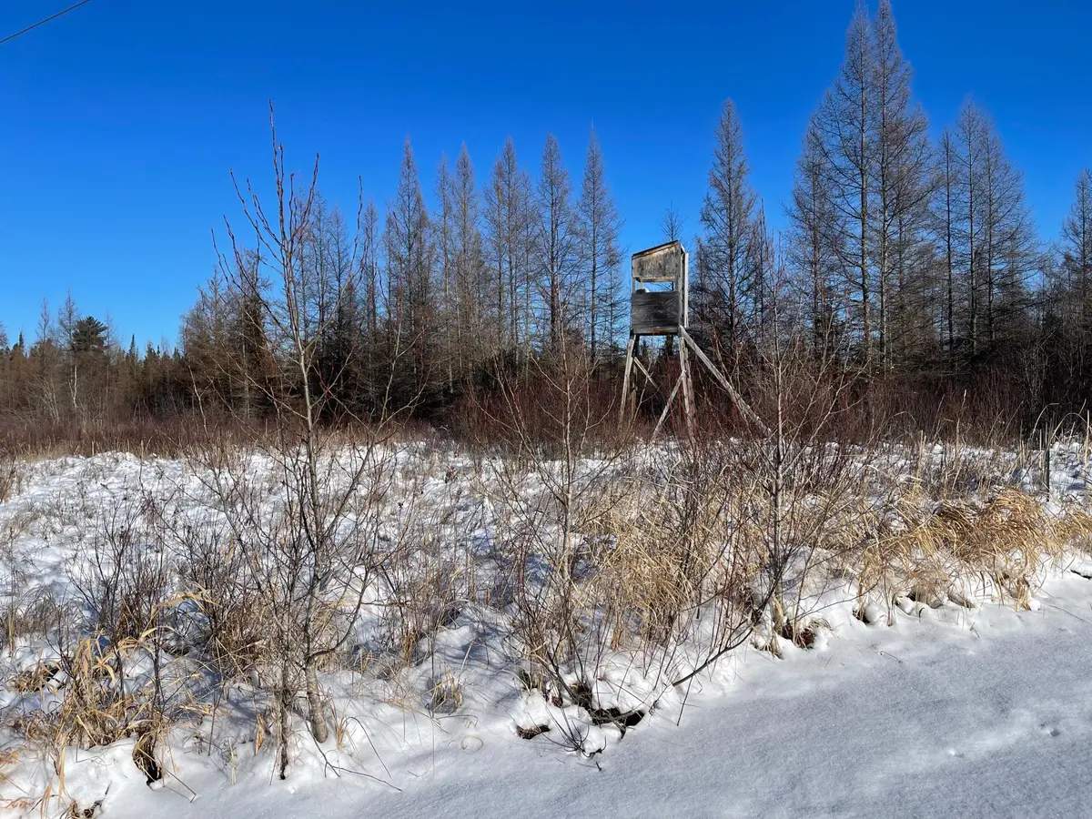 508 Cedar Valley Rd, Floodwood, MN 55736 - Image #1