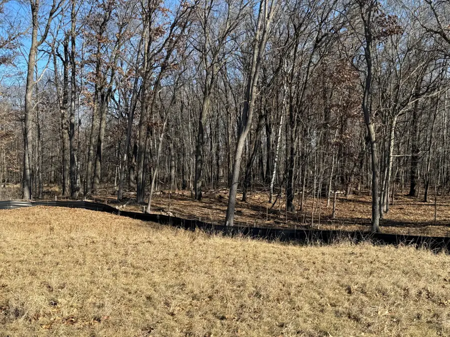 14885 Stutz Street Ne, Ham Lake, MN 55304 - #3