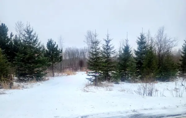 County Road 17 E County Road 17 E, Mizpah, MN 56660