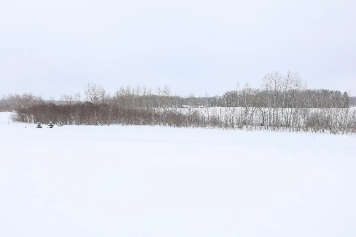 TBD Tasha Drive Nw, Garfield, MN 56332 - Image #1