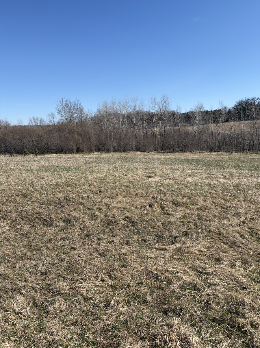 TBD Tasha Drive Nw, Garfield, MN 56332 - #2