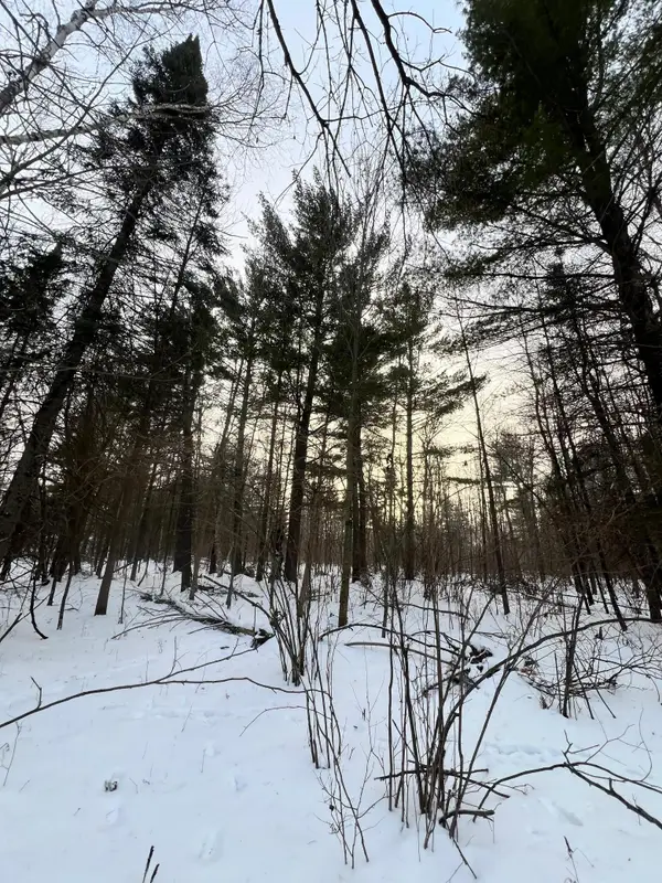 TBD County Rd 67, Grand Rapids, MN 55744