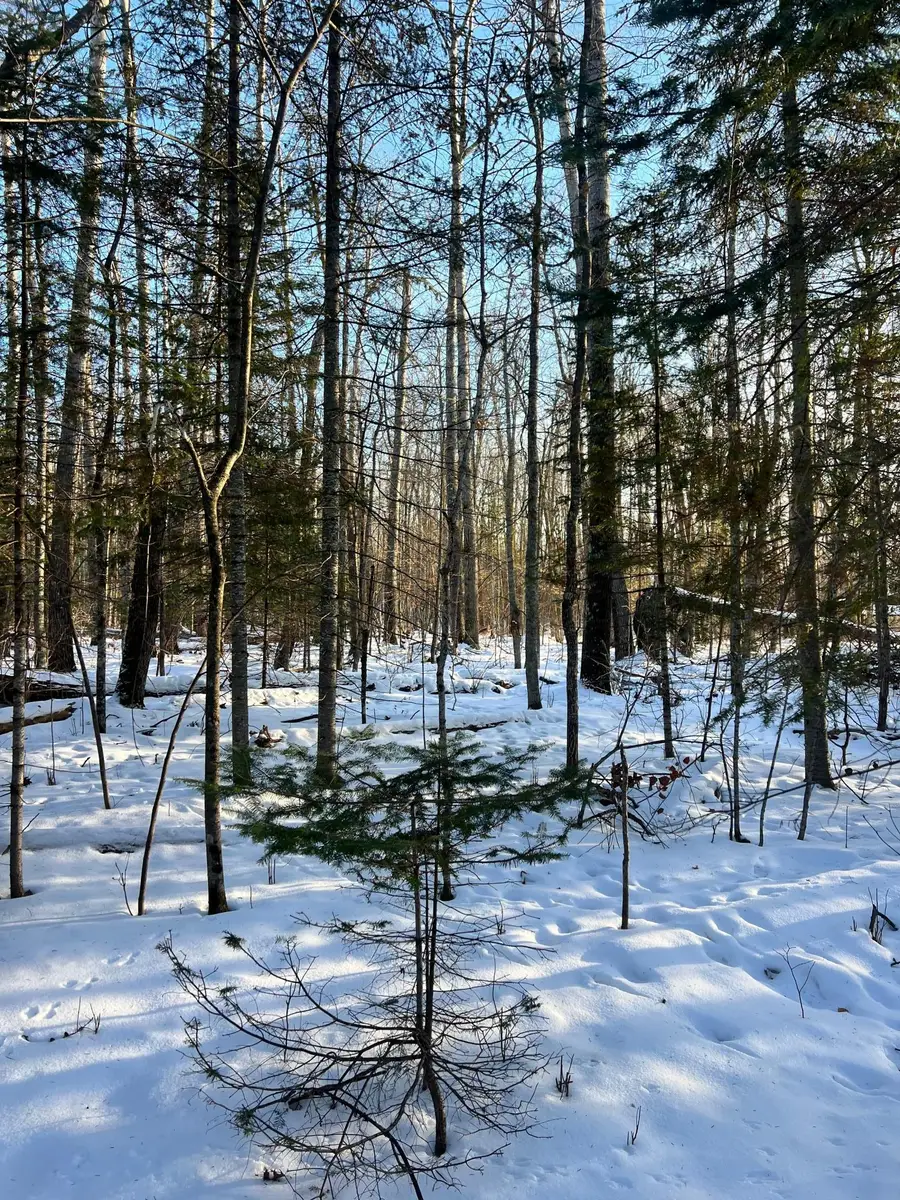 TBD County Rd 88, Cohasset, MN 55721 - Image #2