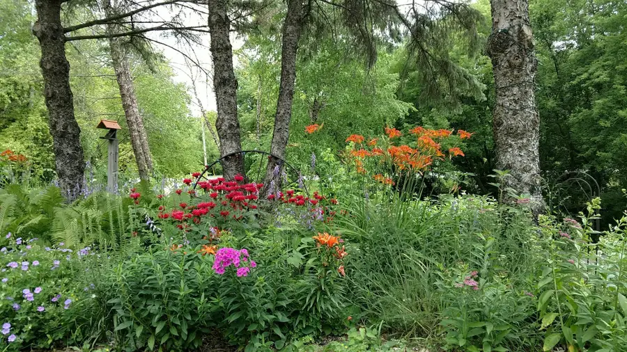 2945 County Road 4 #518 Sw, Cokato, MN 55321 - #3
