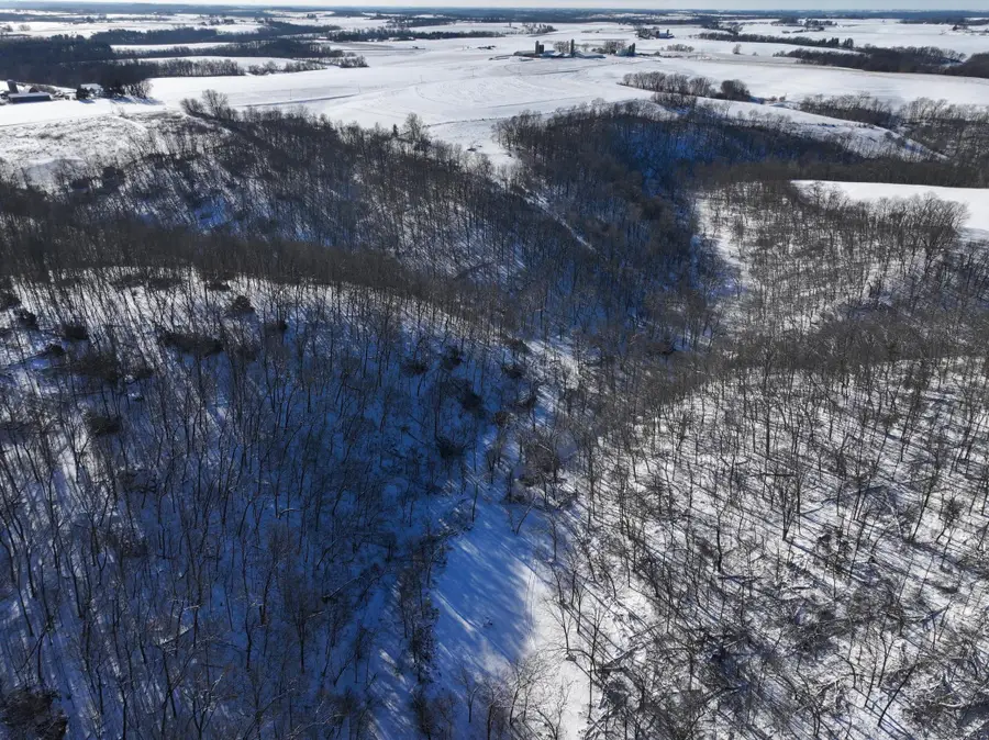 tbd Pine Ridge Drive, Dakota, MN 55925 - Image #3