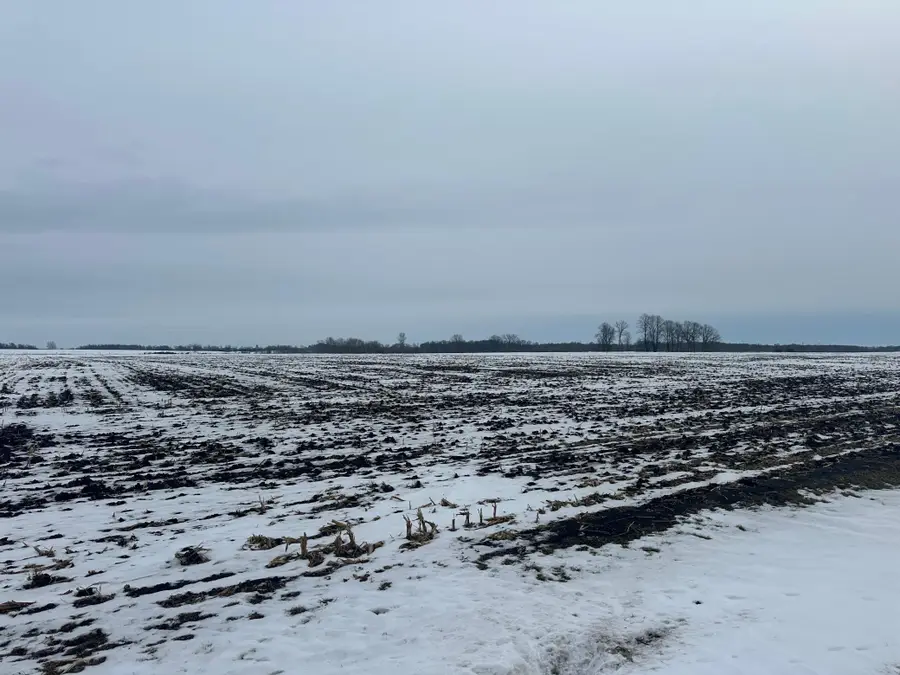 TBD County 36, Long Prairie, MN 56347 - Image #2