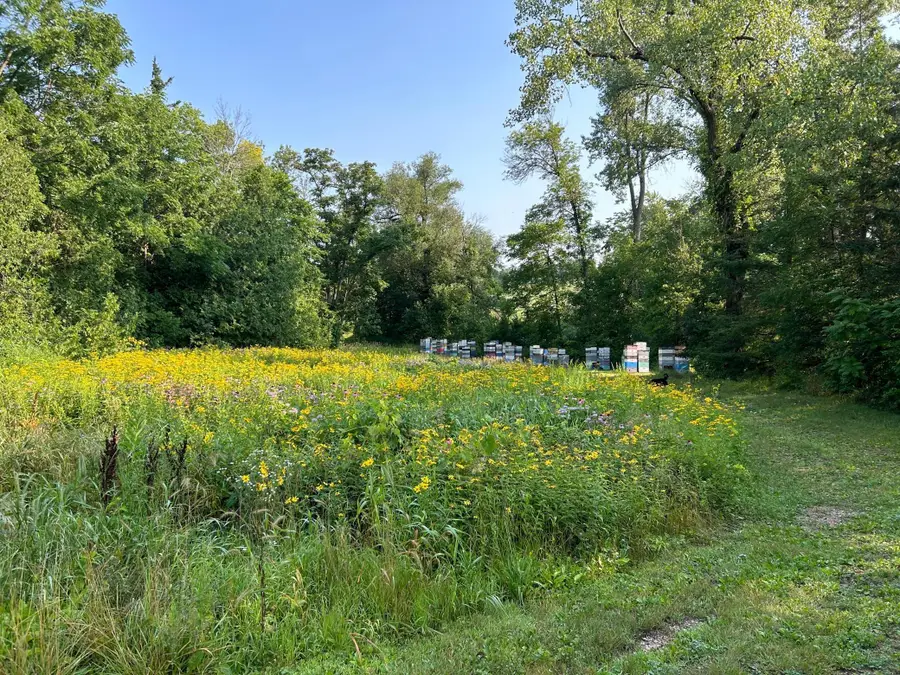 22061 Camber Avenue, Jordan, MN 55352 - Image #2