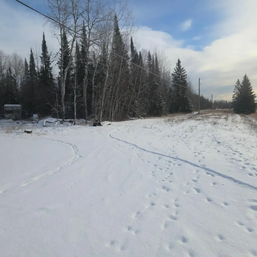 3176 Highway 53, International Falls, MN 56649 - #3