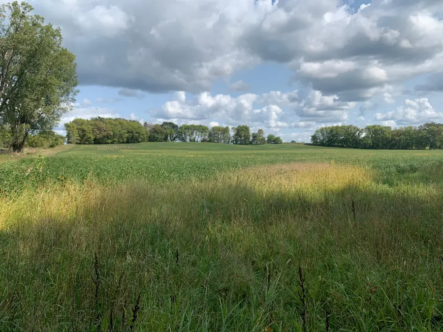 xxx Keystone Avenue N, May Township, MN 55038 - Image #3