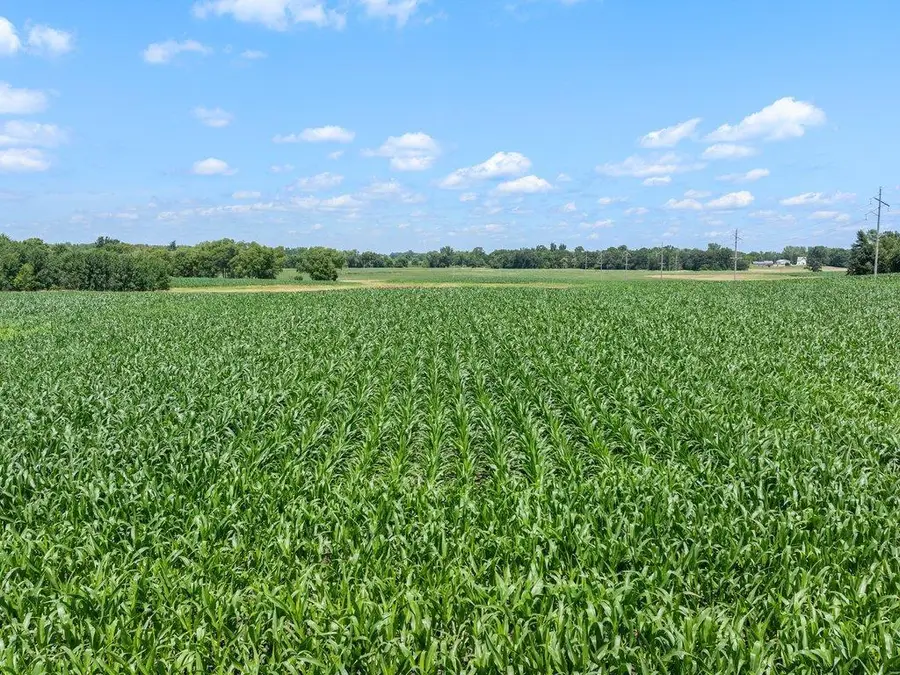 TBD 66th Street, New Germany, MN 55367 - Image #3