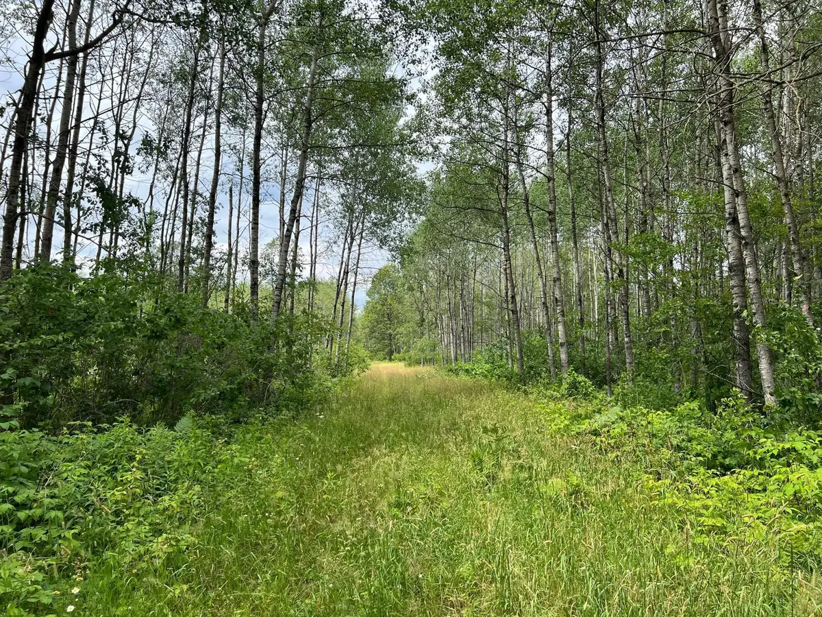 W37XX Frog Creek Road, Minong, WI 54859 - Image #1