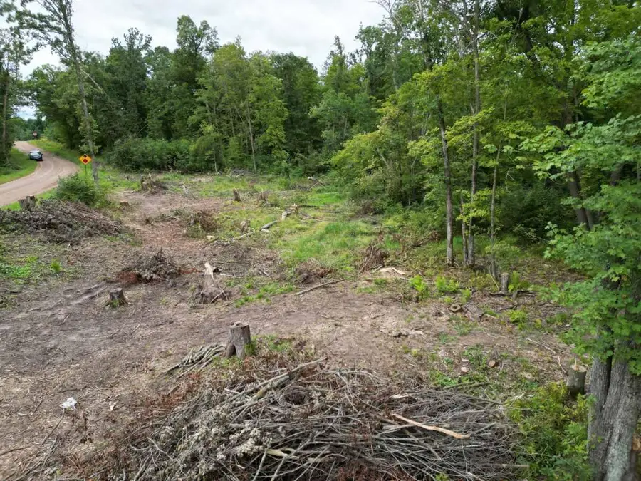 TBD Dau Dr., Milltown, WI 54858 - #2