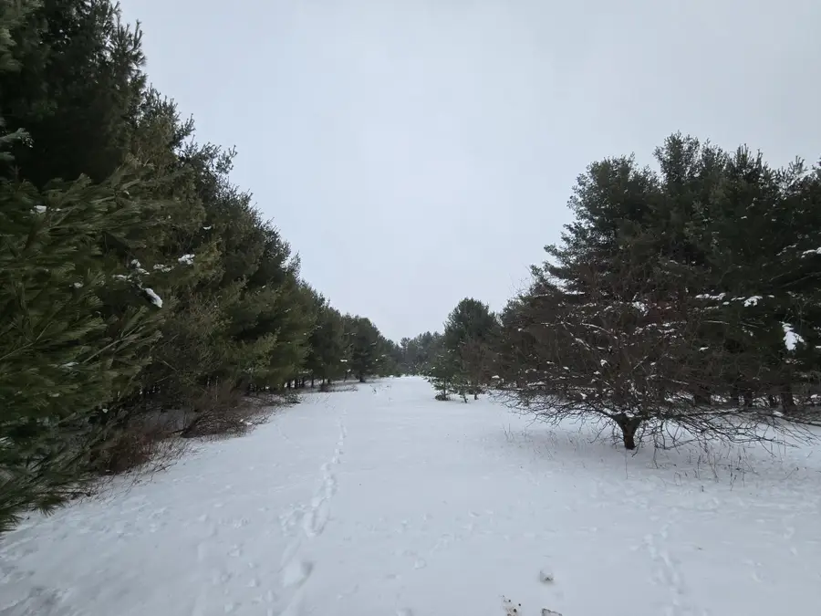 2488 20th Street, Cumberland, WI 54829 - Image #3