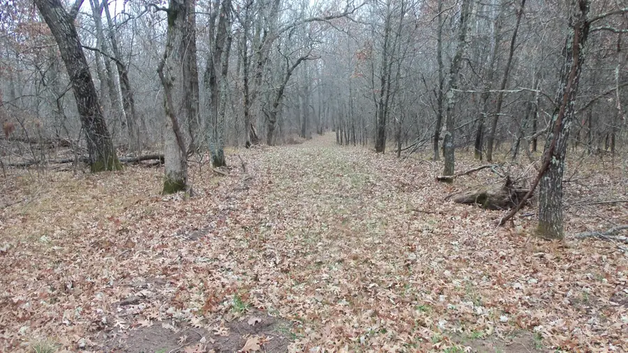 Lot 6 Canute Creek Trl, Grantsburg, WI 54840 - #3