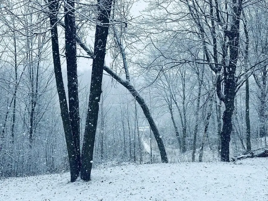 2473 27 1/2 Street, Rice Lake, WI 54868 - Image #3