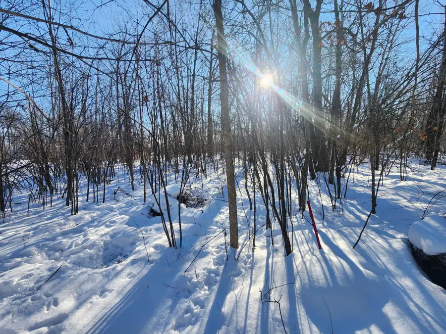 xxxx 175th, Borgholm, MN 56353 - Image #3