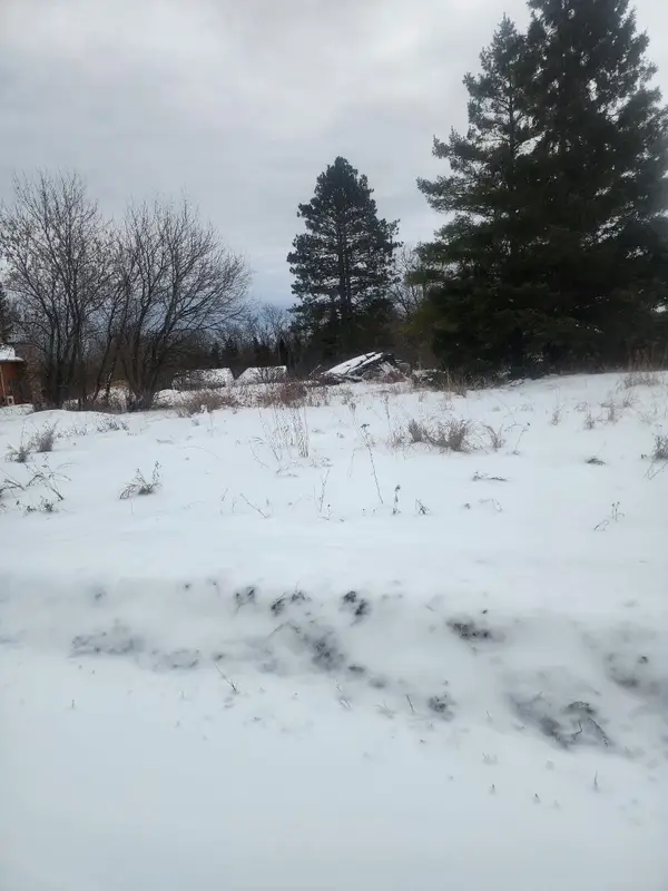 12096 Ramsey Street, Northome, MN 56661