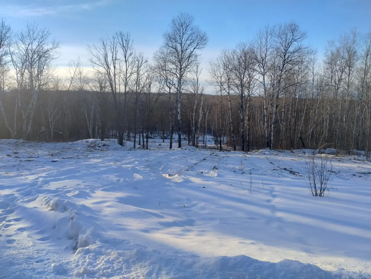 13649 188th Place, Williams, MN 56350 - Image #1