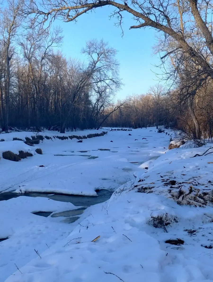 13649 188th Place, Williams, MN 56350 - Image #2