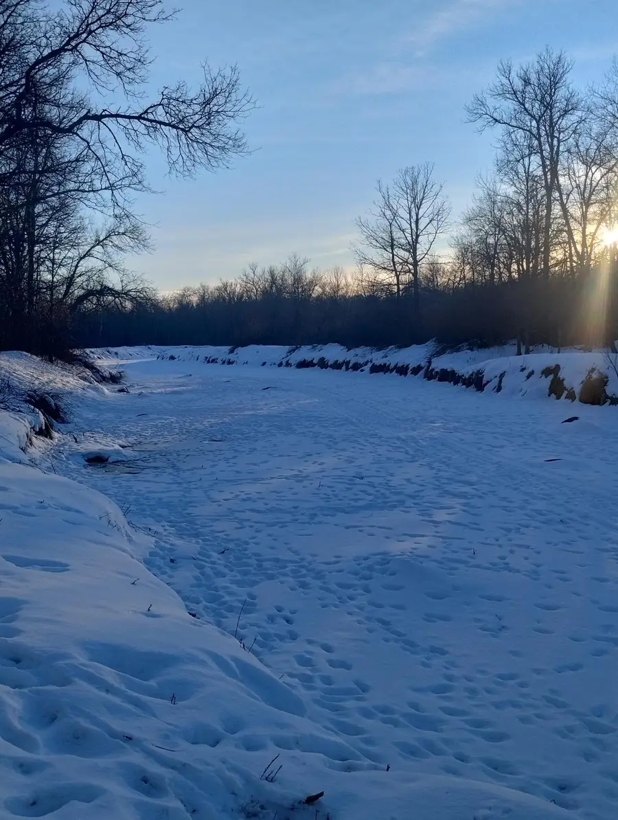 13649 188th Place, Williams, MN 56350 - Image #3