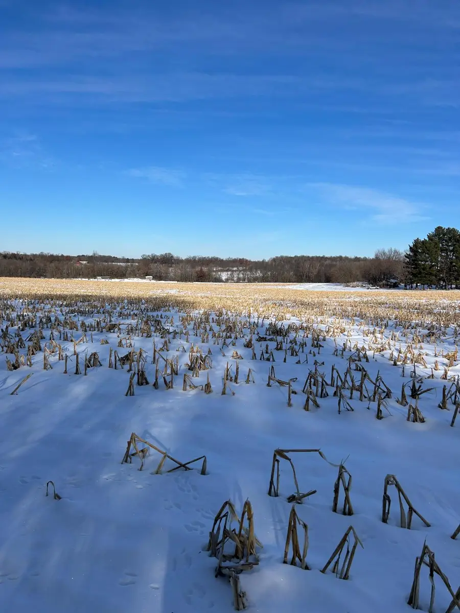 TBD 220th Street, Baldwin, WI 54002 - Image #3