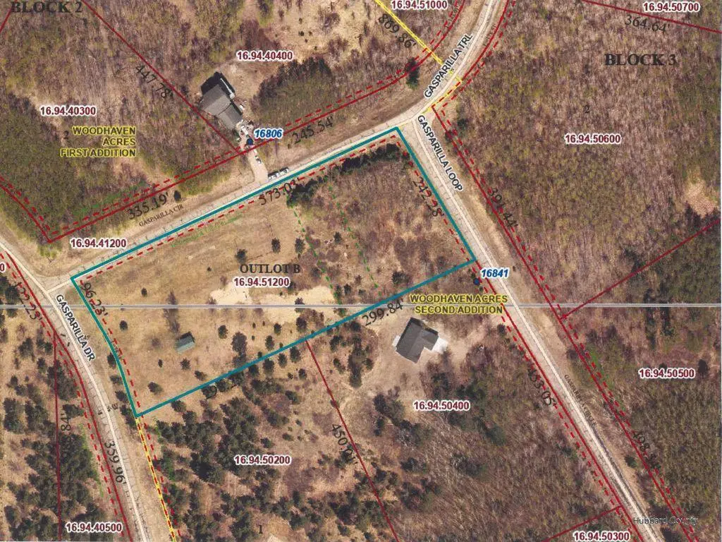 TBD Gasparilla Loop, Park Rapids, MN 56470 - Image #1