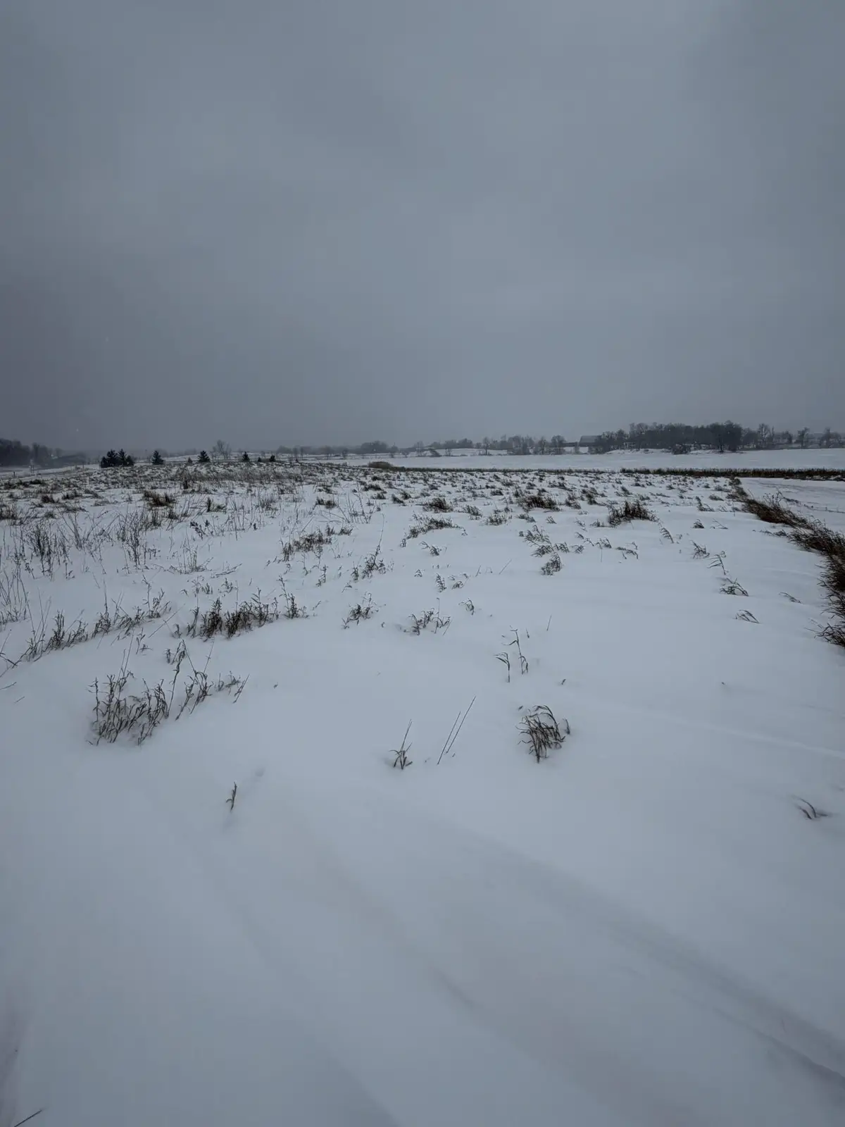 TBD 395th, Dent, MN 56528 - Image #1