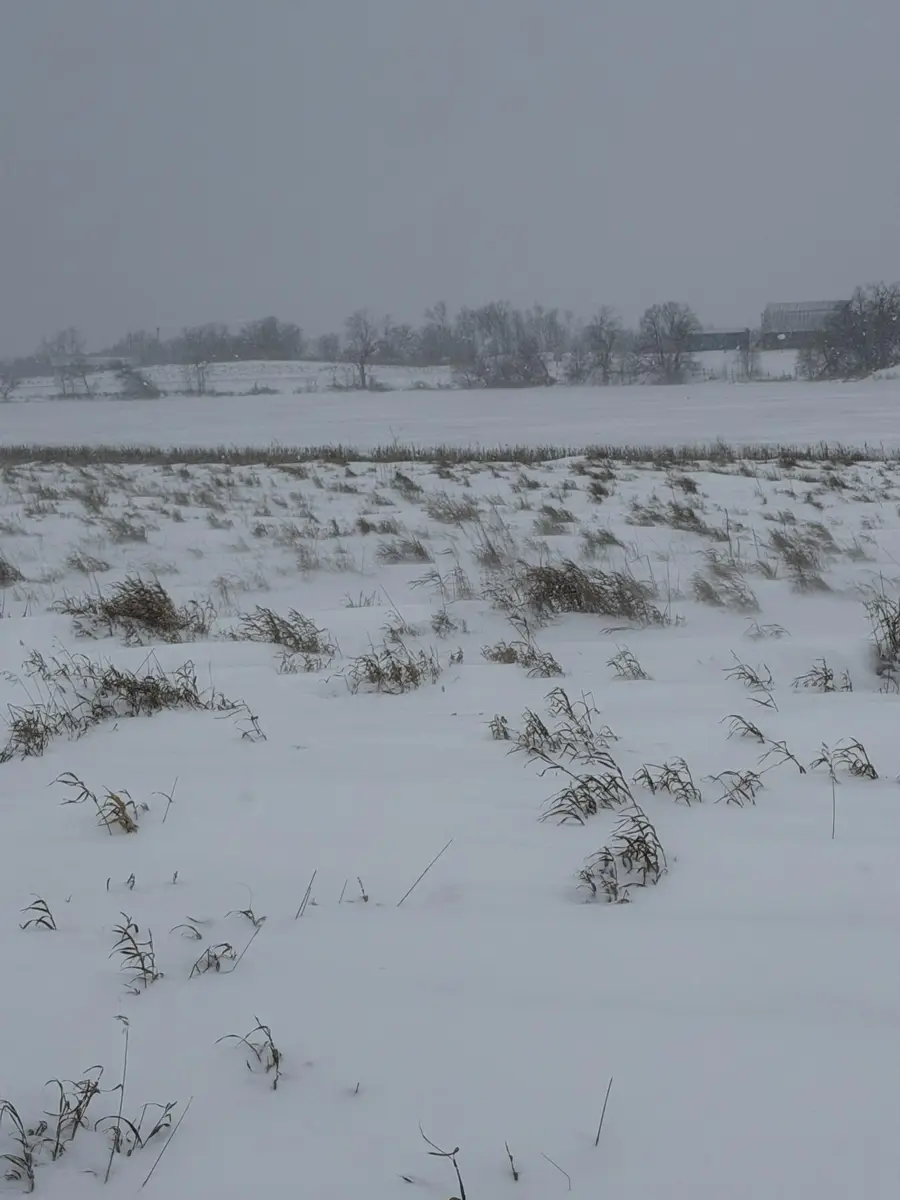 TBD 395th, Dent, MN 56528 - Image #2