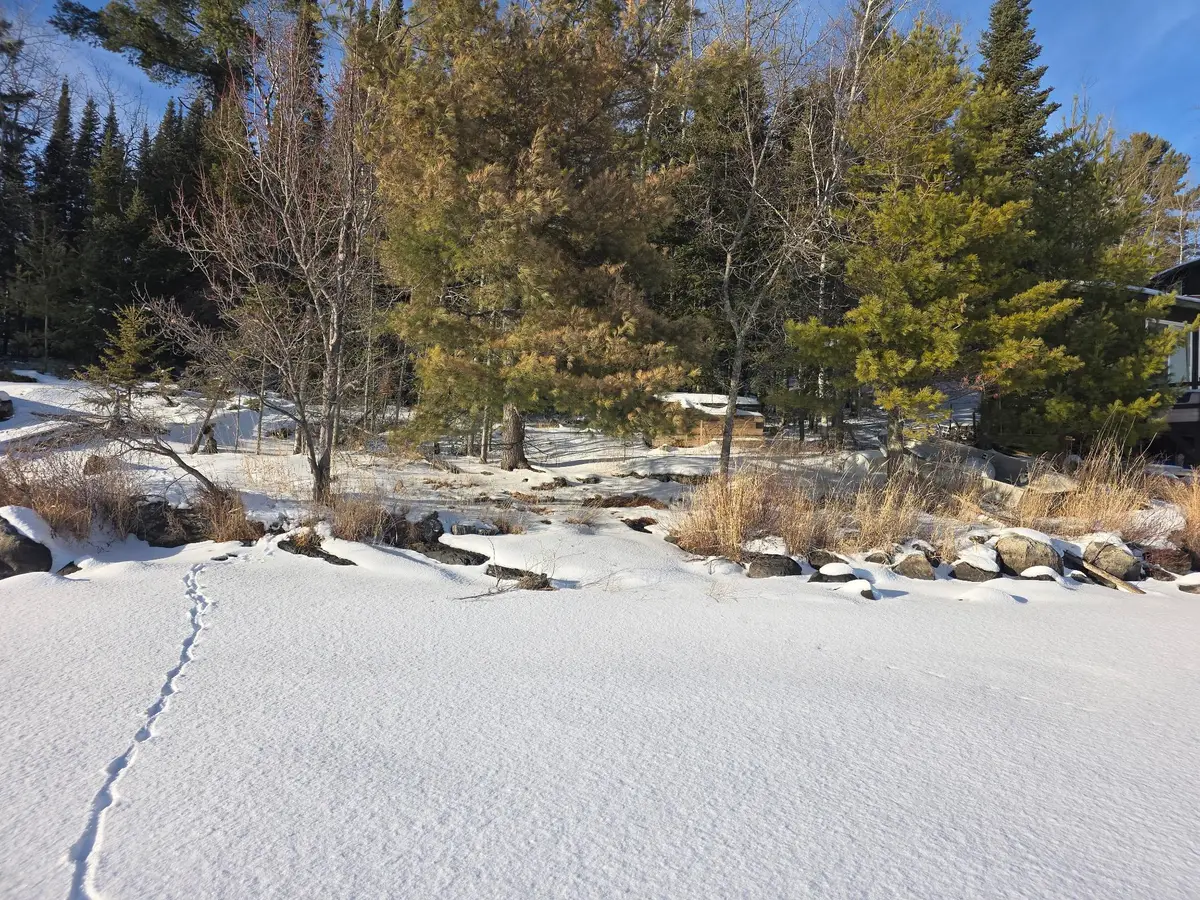TBD Keyes Island, International Falls, MN 56649 - #1