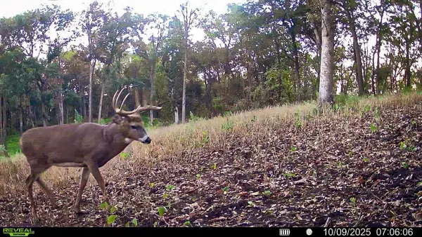 W27022 Whistle Pass Road, Dodge, WI 54661