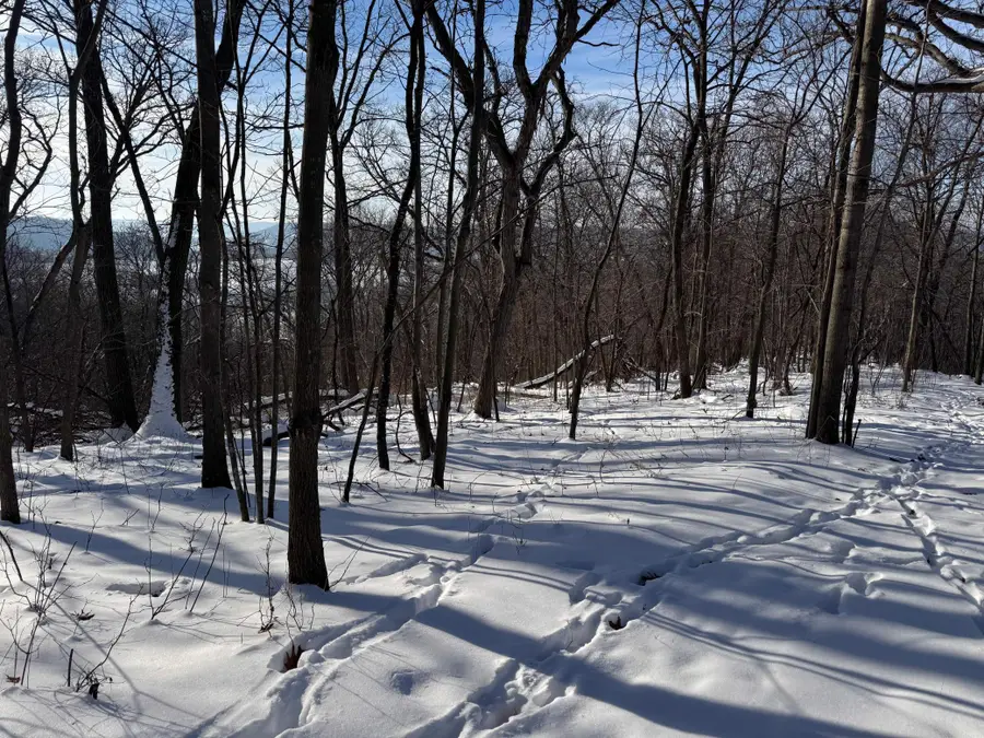 W27022 Whistle Pass Road, Dodge Town, WI 54661 - Image #2